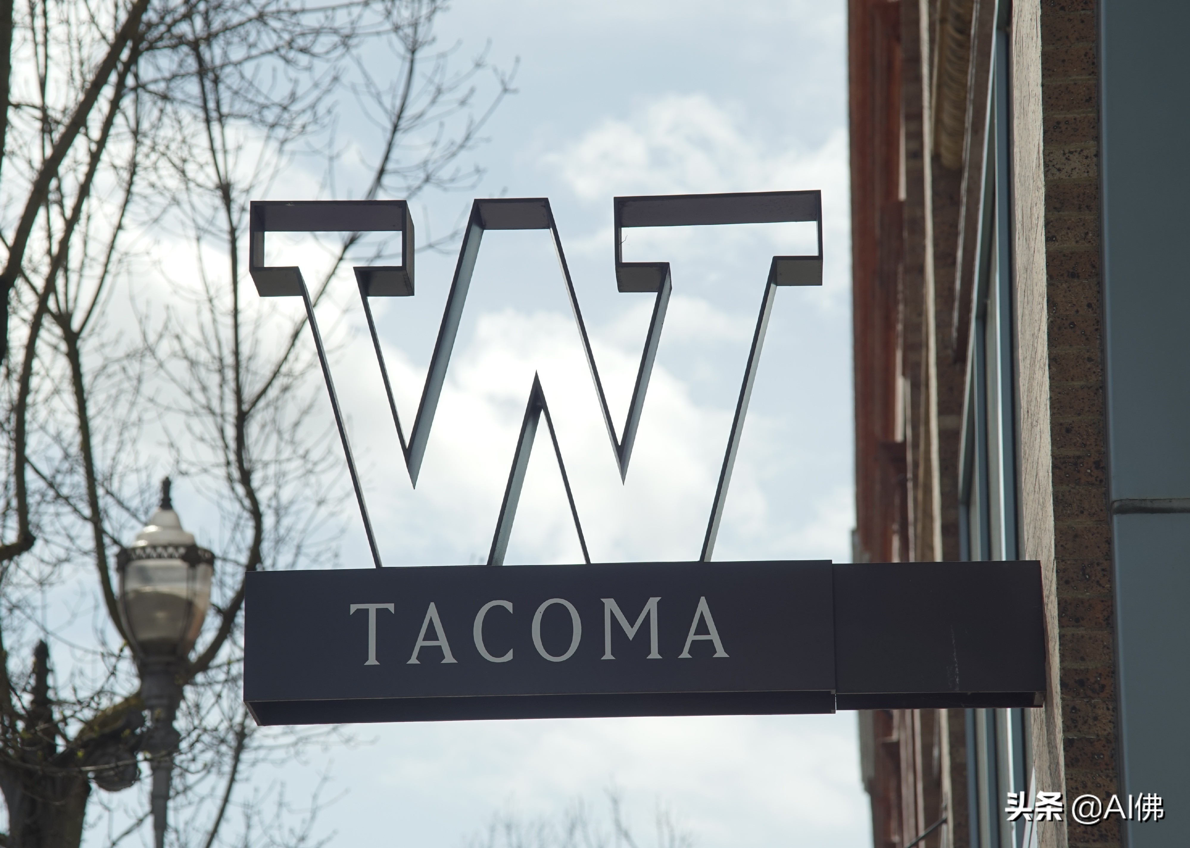 美国每个州ROI最高的公立大学