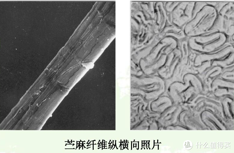 黄古林与老席匠哪个好（详解2款凉席的优缺点）