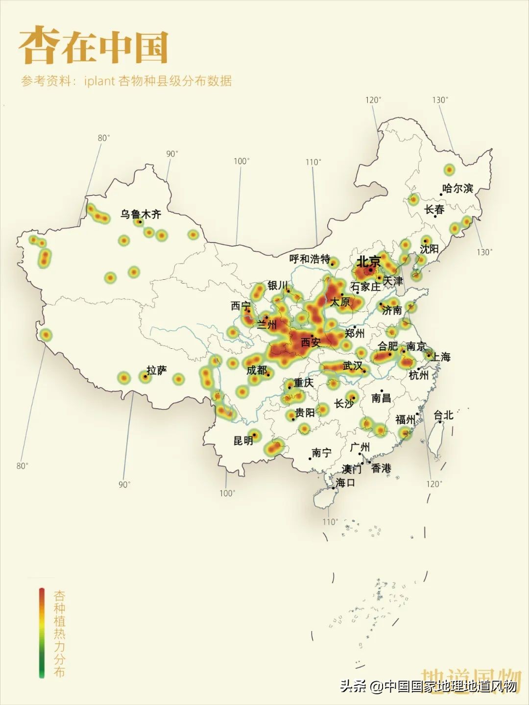 小白杏、大接杏、水蜜杏......中国到底哪里的杏子最好吃？