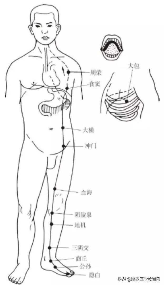 你了解经脉吗？十二经脉的位置、走向规律、交接规律及分布规律