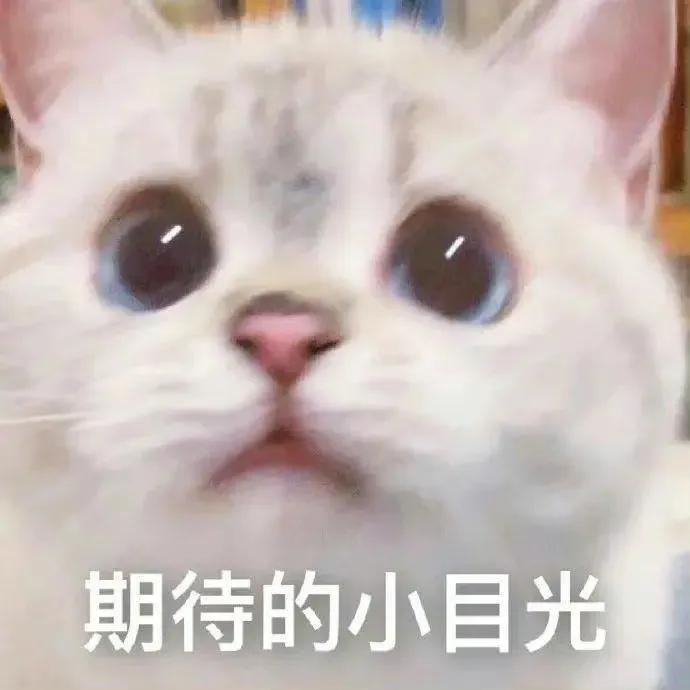 网购技巧,网购技巧怎么买到好货