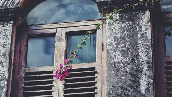 有一种旅行，叫去老街走一走