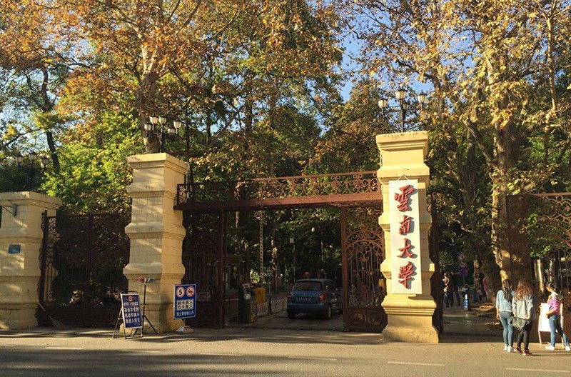 按录取分数排，最“好考”的5所双一流大学，分数线低实力强