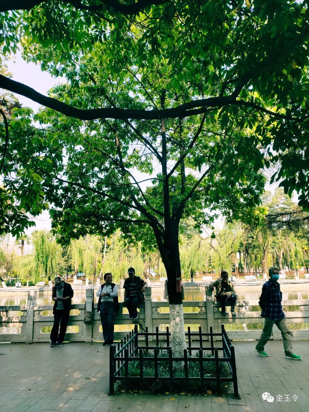 走过广场舞的前世今生