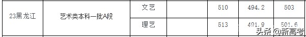 本科批来了！青科大、山财、聊大录取查询及投档情况汇总