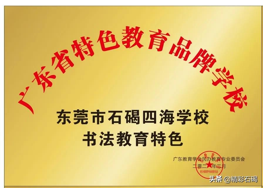 石碣四海学校2021年秋季学期招生简章来了~