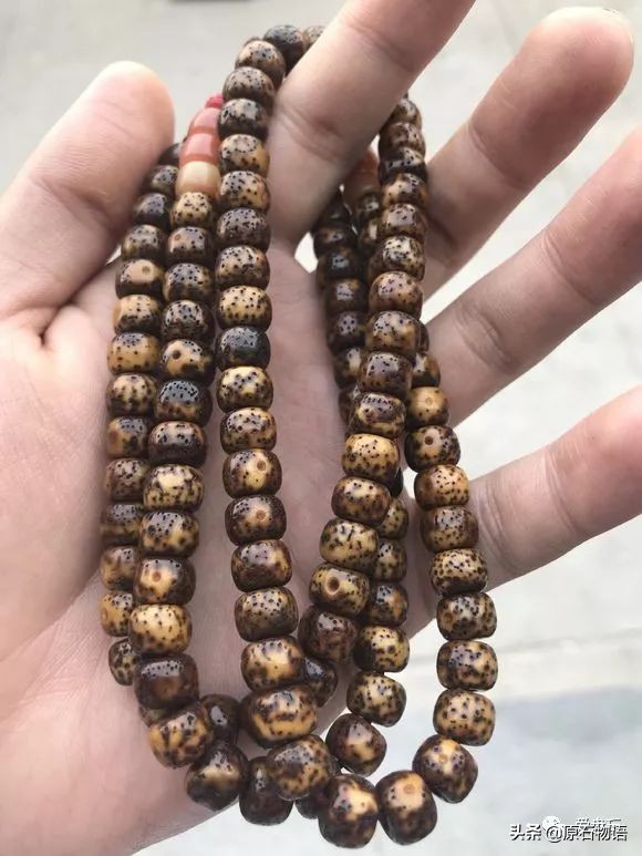 星月菩提开片(星月菩提就个树籽而已,几十张轮番忽悠,就不信你不服!