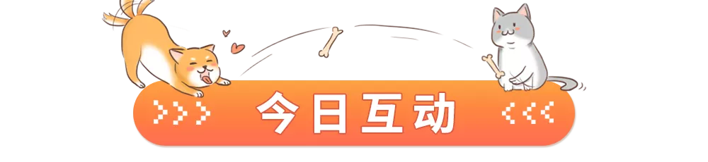 养一只狗,到底要花多少钱?