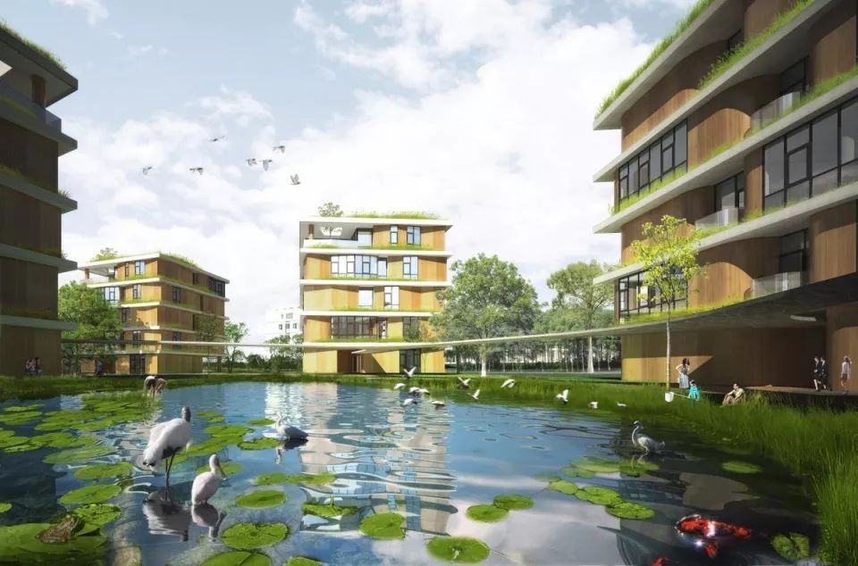 魔都上海这些年，适合翻拍流星花园的私立学校：颜值高，学生棒！