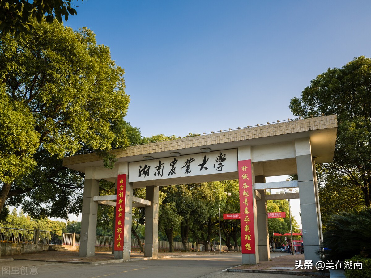湖南高校哪家强?湖南省129所高等院校都在这里,想报考的看看吧