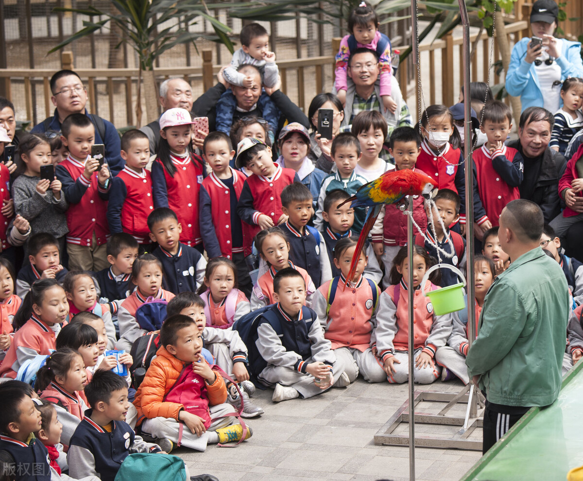 幼儿园春游活动方案