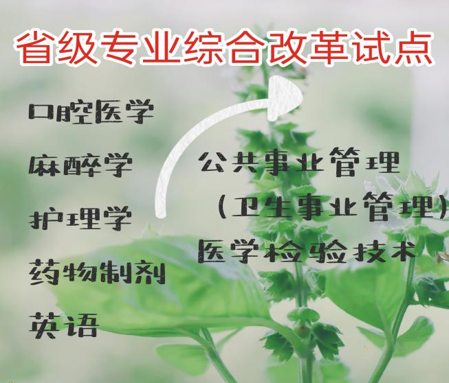 遵义医科大学的王牌专业都有哪些呢