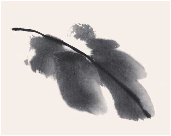 国画知识：常见的五种叶子画法步骤图解，简单易学，小白也能学会