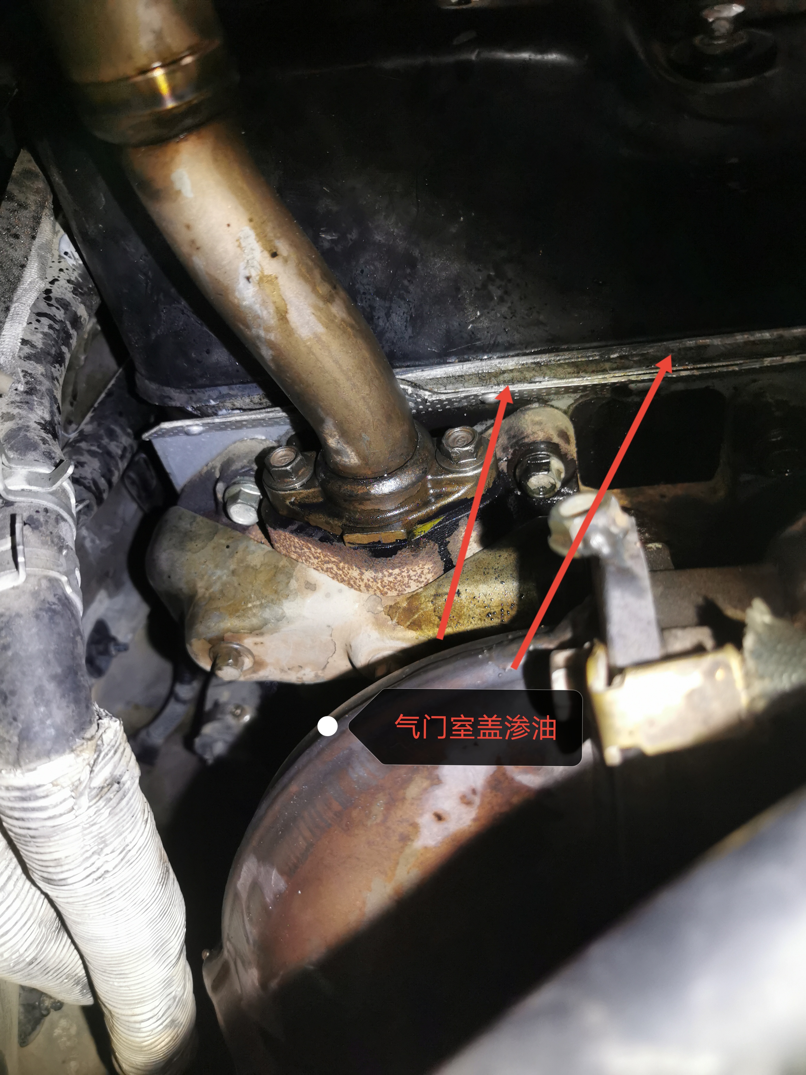 聽說這個地方的二手車便宜！是真的嗎？