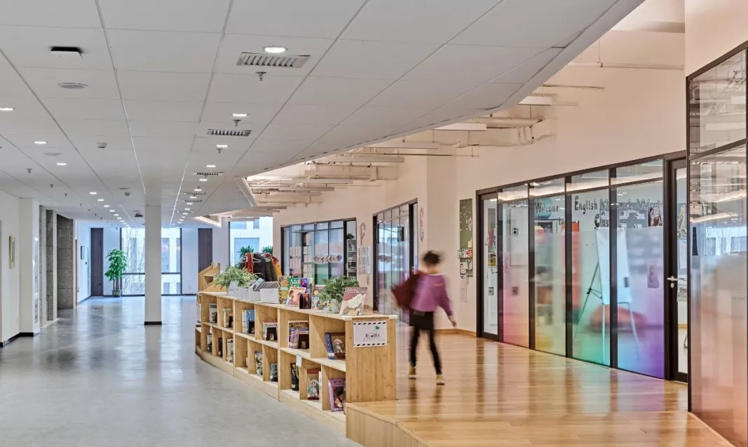 i数读｜从这些倒闭的国际化学校中，我们能学会什么？