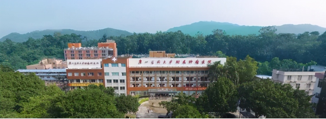 好样的！高水平医院广州再添4家！