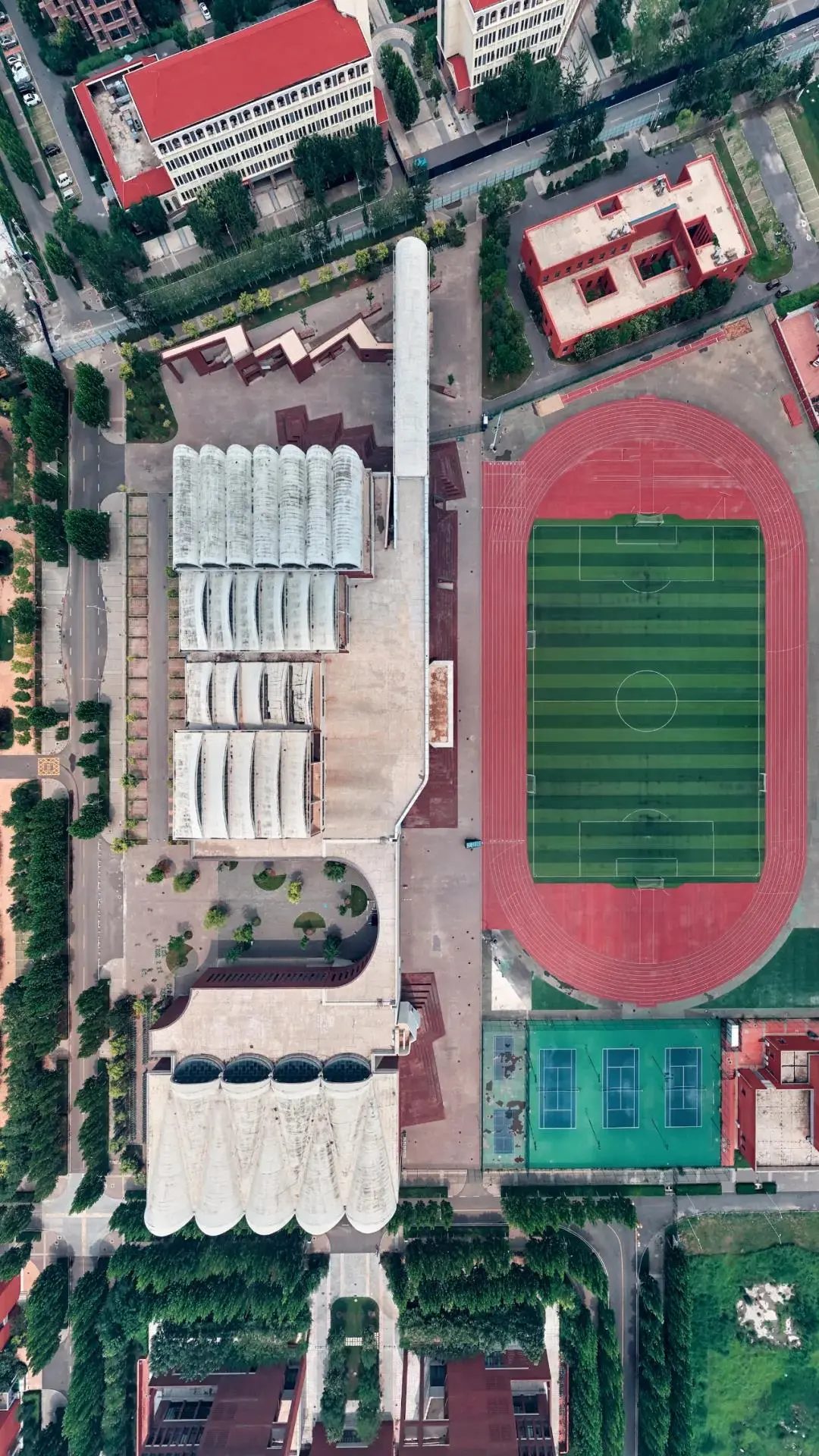 天津大学，为什么是中国最有“侠气”的大学？