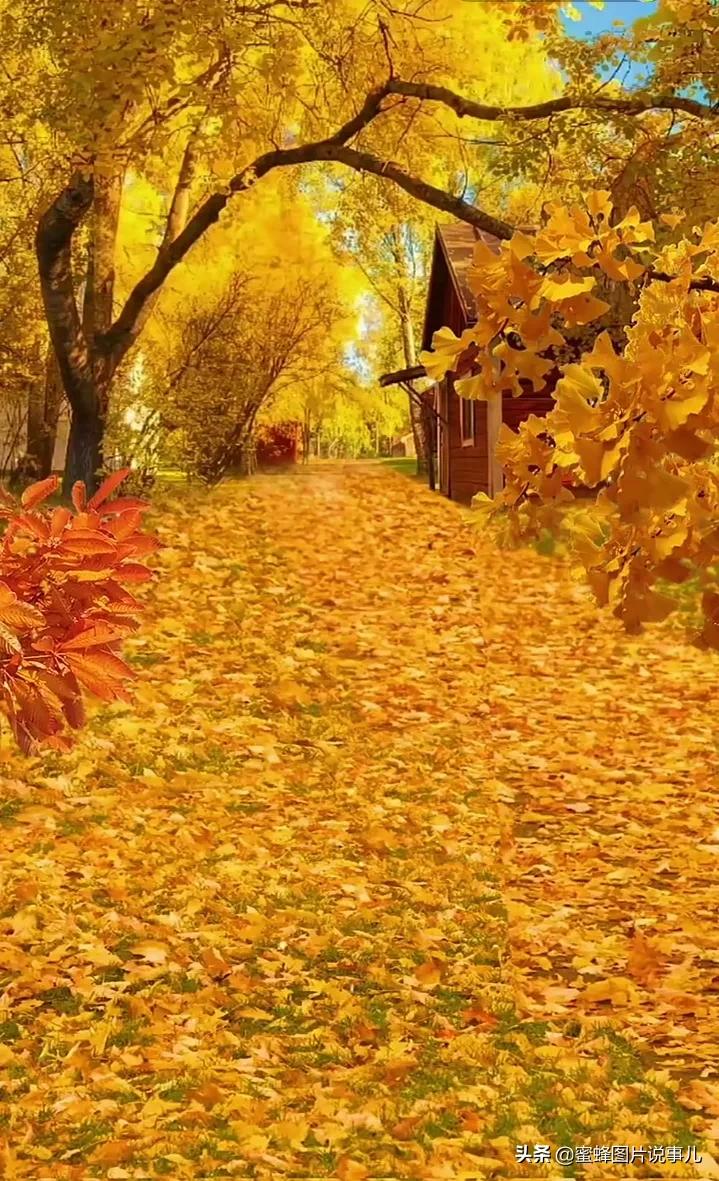 壁纸美图,人生,是认清与看淡,万事,尽心尽力,而后,顺其自然