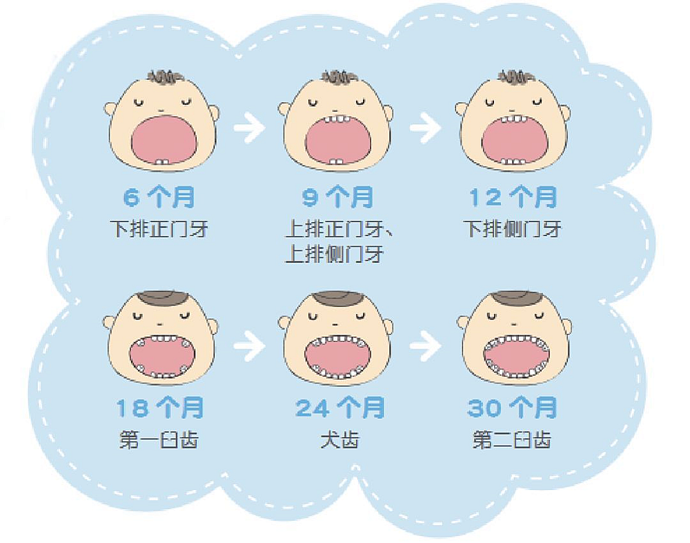 宝宝长牙3个注意，第一颗牙、出牙顺序、表现和应对，一文讲清