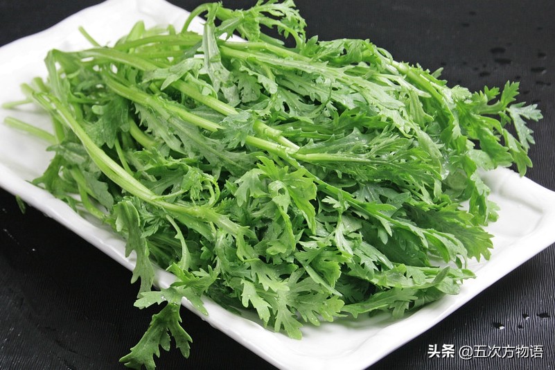菊科蔬菜大全