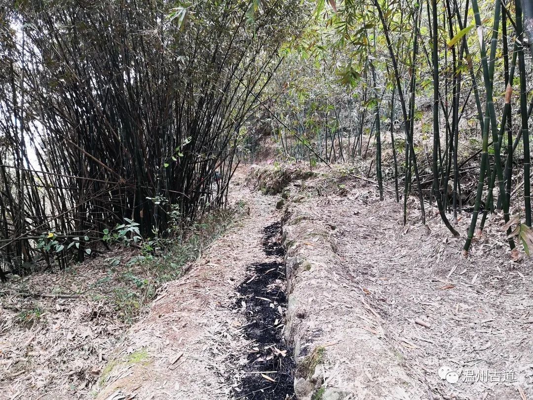 平阳麻步吧（平阳麻步沿口七星山古道环线穿越风景如画）