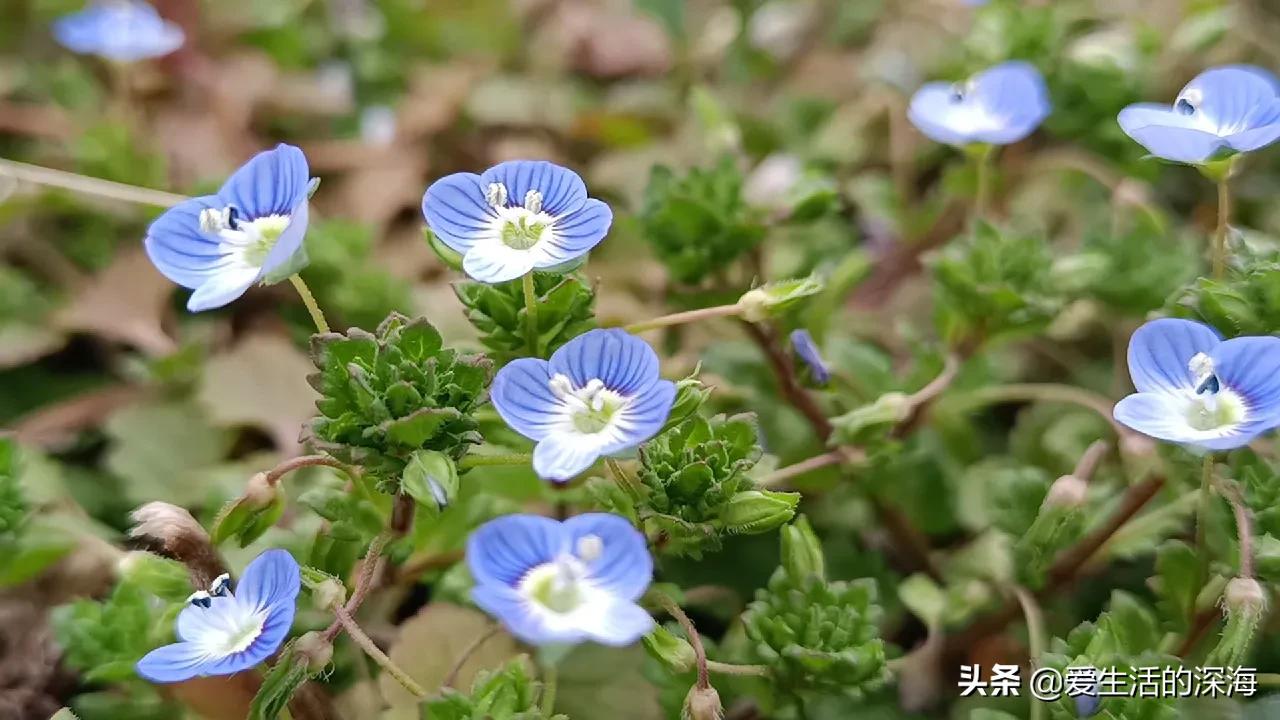 陕南地区的丧葬程序，习俗和禁忌