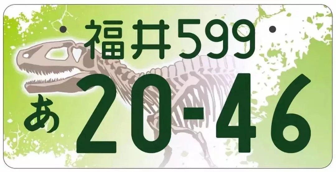 在日本生活，从汽车的车牌号上可以了解到哪些信息？