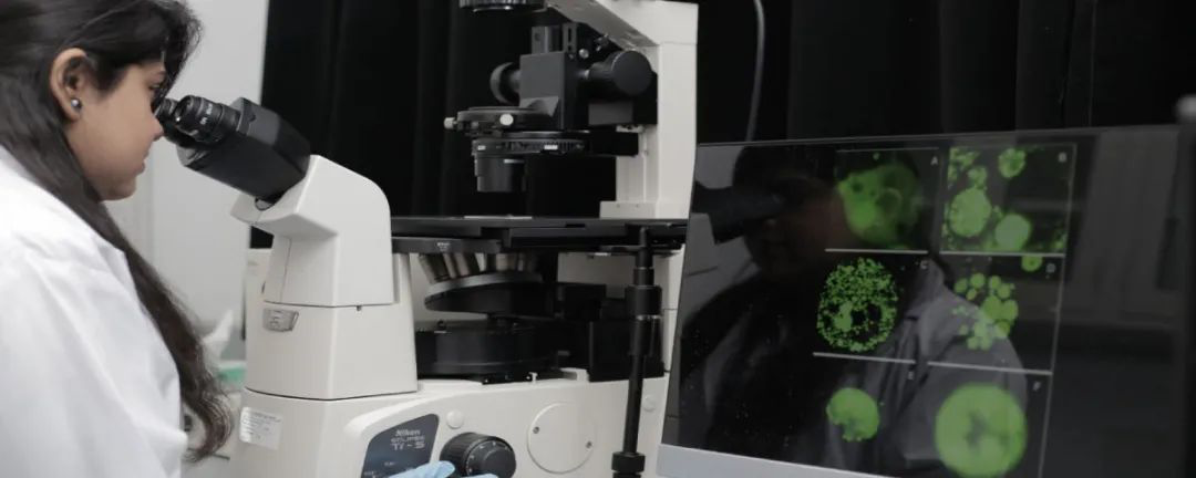 这款大学太酷！留学必入你的“PICK”清单