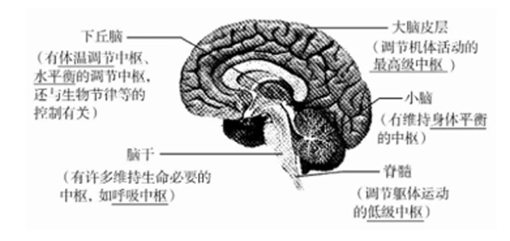 美国顶尖科普杂志《好奇号》年刊征订 1本=5本 给娃最酷最硬的科普