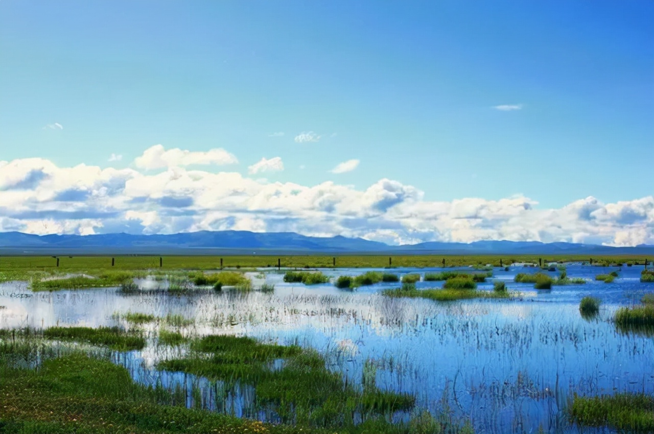 三江平原湿地，地球的宝藏库之一
