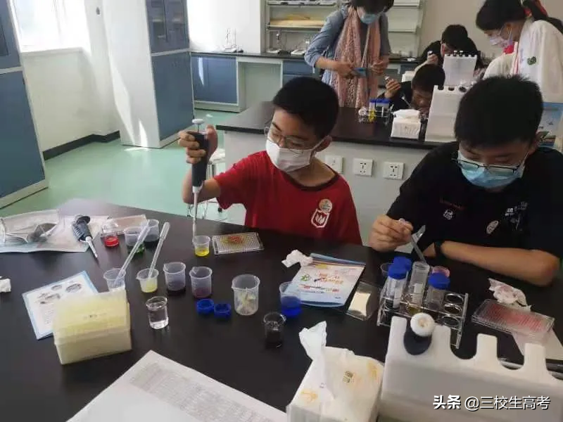 上海市学生职业体验日记及活动回顾