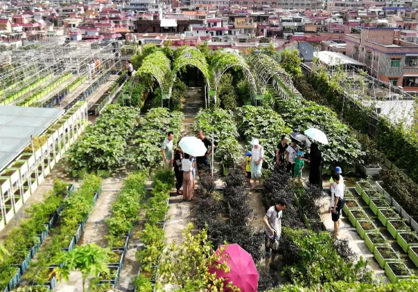 放弃多个985名校offer，陕西美女学霸选择保研本校，各类奖项拿到手软！