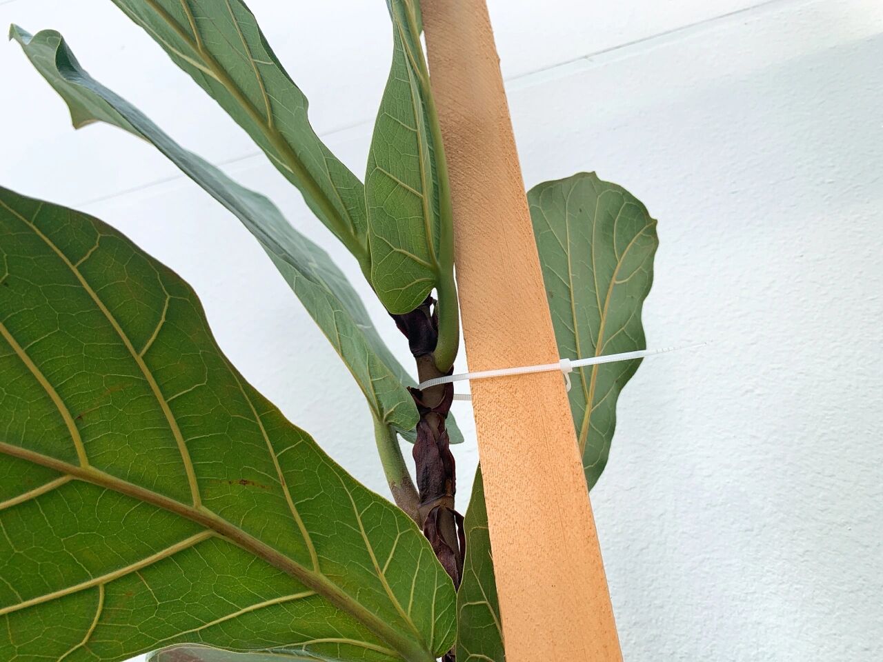 这8个常见的家居小物，藏着设计师的良苦用心，却被很多人辜负了