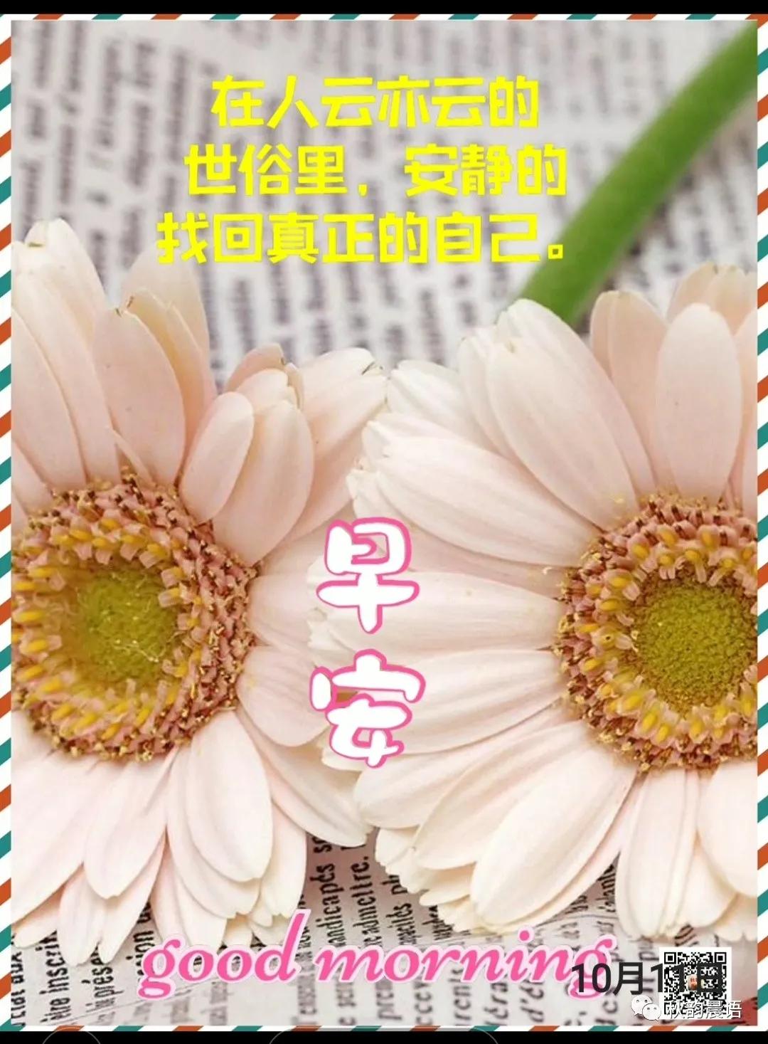 假如互联网突然中断