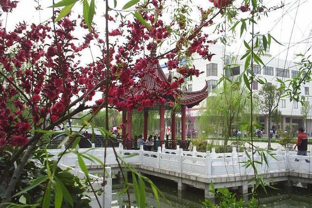 彭城徐州四所好高中，徐州一中包揽市高考文理状元，其他仨你可知