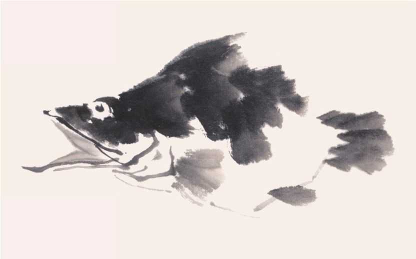 零基础水族的画法：怎么样用双勾发画金鱼鲤鱼？学会几分钟一幅画