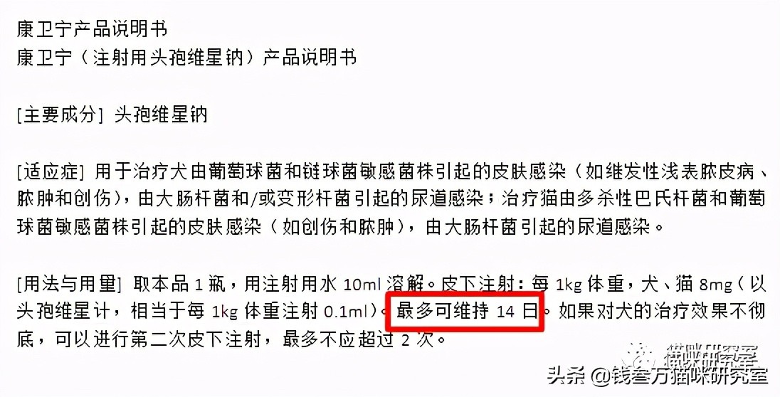 「猫绝育手术」需要注意的问题，和医院常见的坑人套路，非常详细