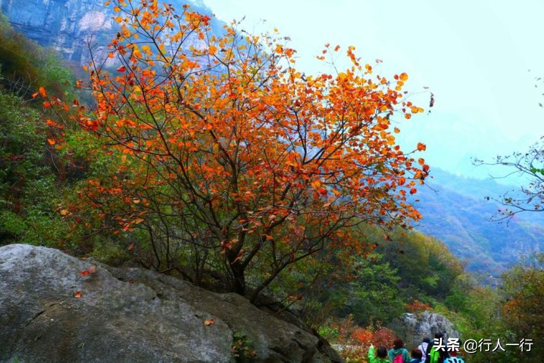 河南的秋天，这10大景区一定要去看看，每一处都美出仙境，还免费