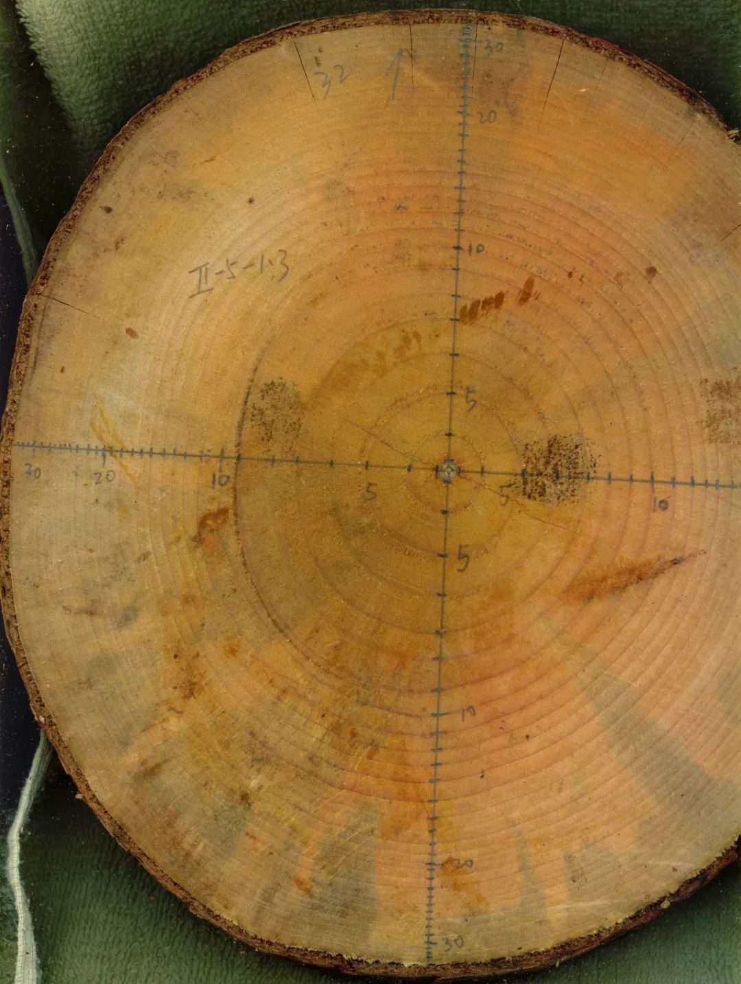 论文推荐 || 时人不识凌云木，密度调控始道高