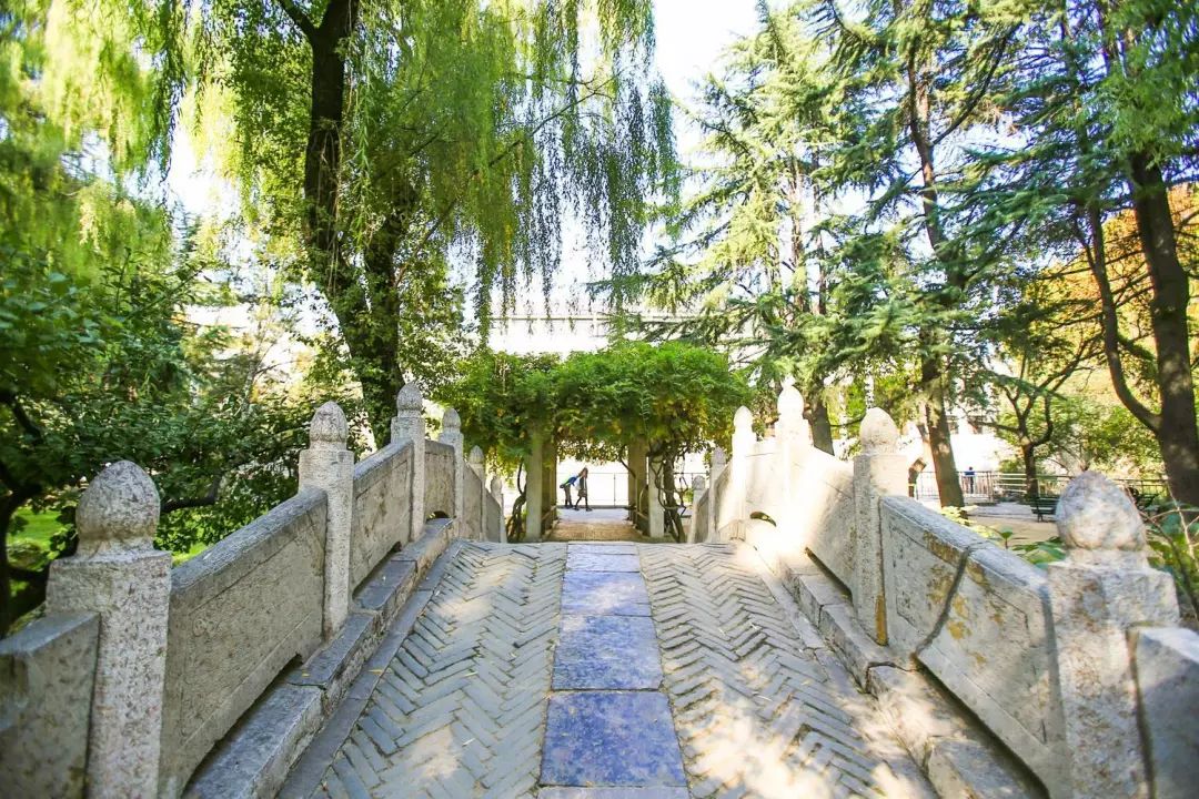 我的母校曲阜师范大学：有光的地方，就有人在学习。