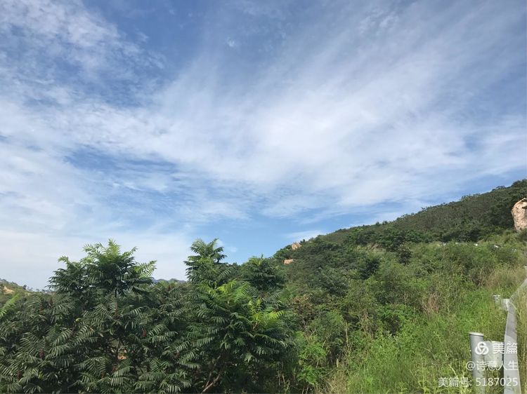 夏日登山汗如泉