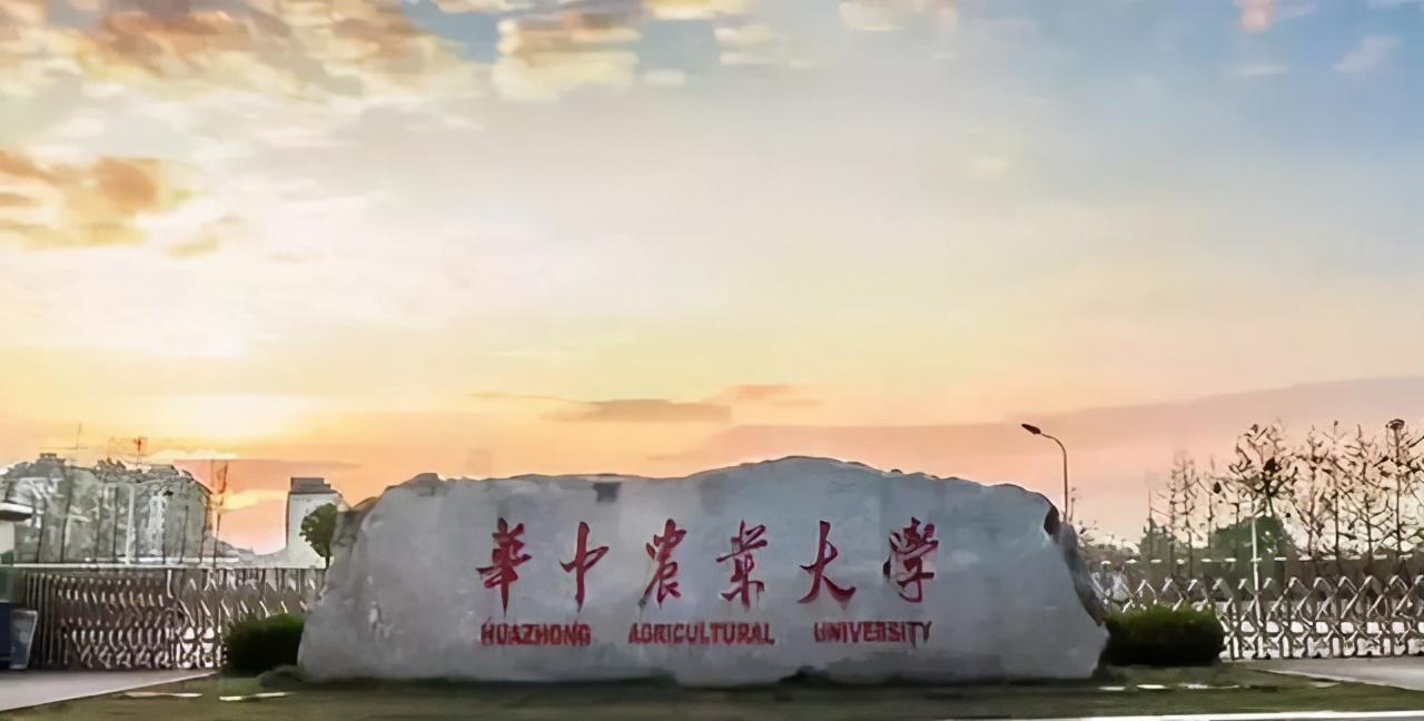 武汉高校：“一校一山头”，珞珈山、伏虎山、狮子山、马房山