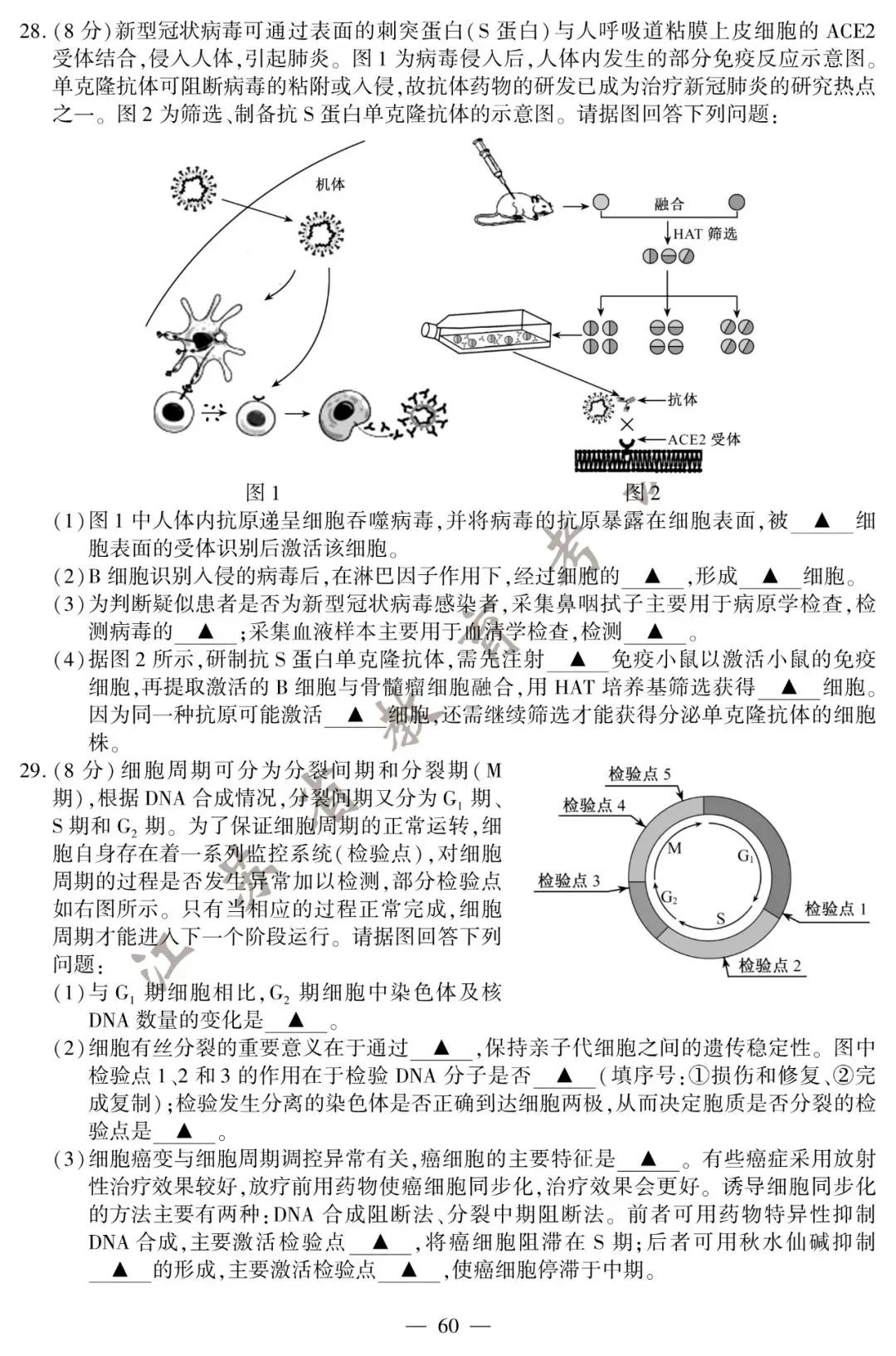 2020江苏高考试卷+答案公布