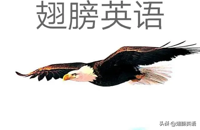 英语课堂标准用语大全