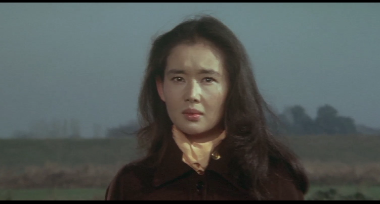 追捕高仓健电影剧情「详细介绍」 _晶羽科技