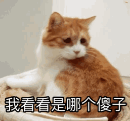 阿胶补血？玛咖能壮阳？这十大“智商税”，连坑三代中国人