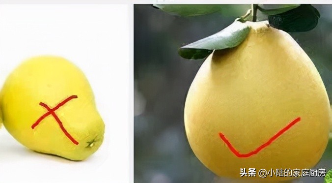 挑柚子时，记住这4点，个个皮薄肉甜，一挑一个准