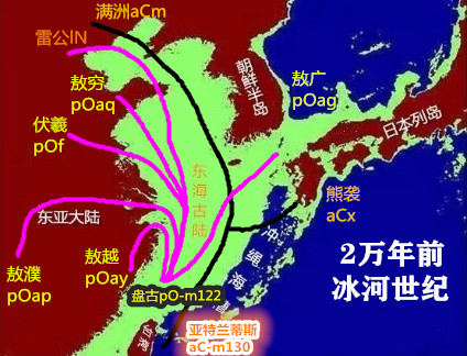 章姓源自扶桑族任姓，基因血统测序可以推敲这个说法