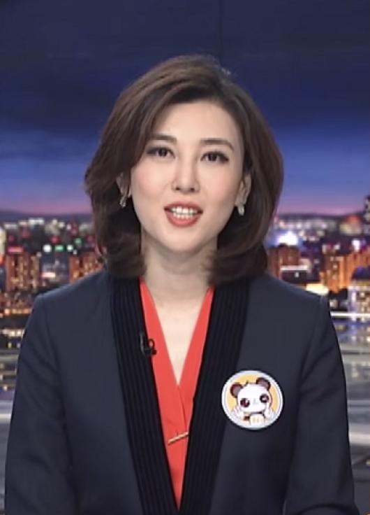 央視10大美女主持人，個(gè)個(gè)才貌雙全，董卿知性，海霞端莊