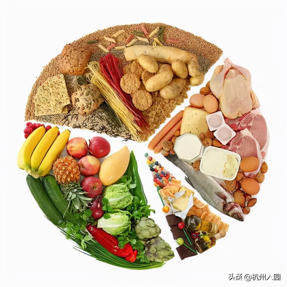孩子在幼儿园吃了啥？杭州7所餐食超棒的幼儿园！看你家上榜没？